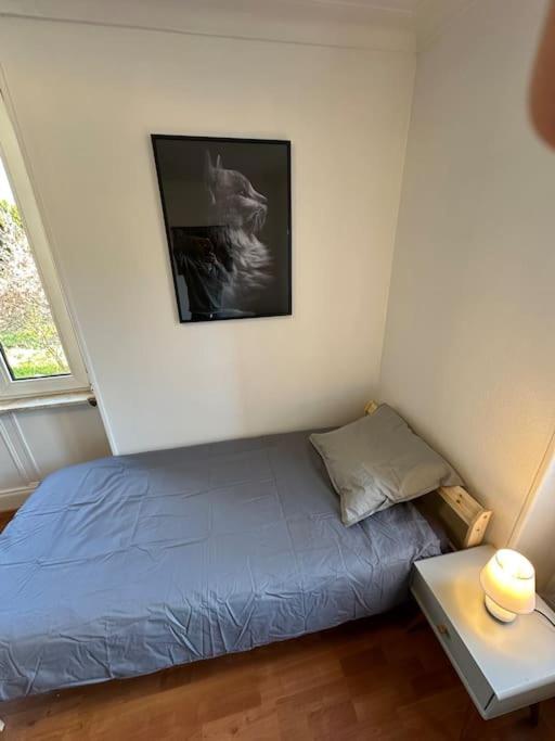 Magnifique Appartement F3. 4 A 6 Personnes 루터바하 외부 사진