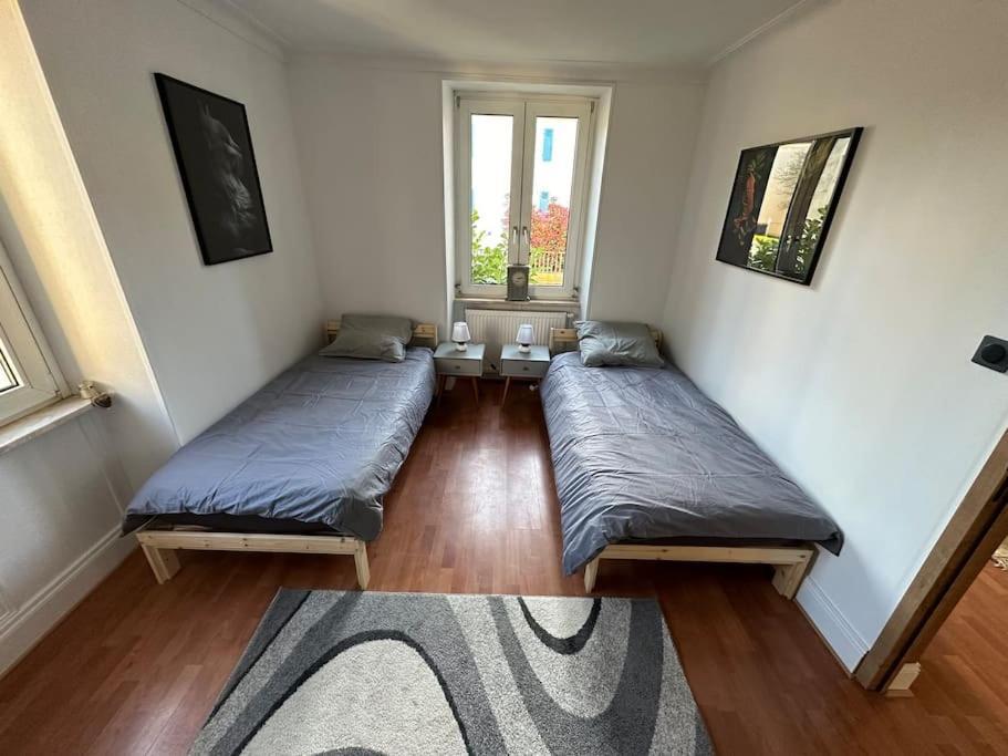 Magnifique Appartement F3. 4 A 6 Personnes 루터바하 외부 사진